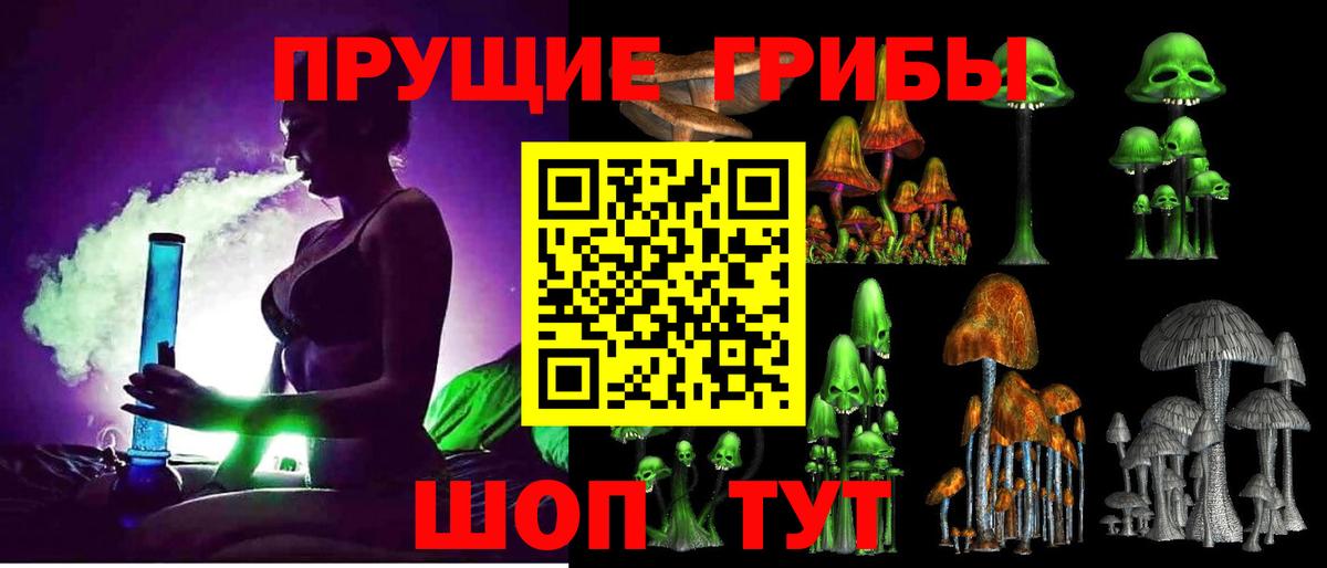 Псилоцибиновые грибы Psilocybe  Вход с VPN  Карталы 
